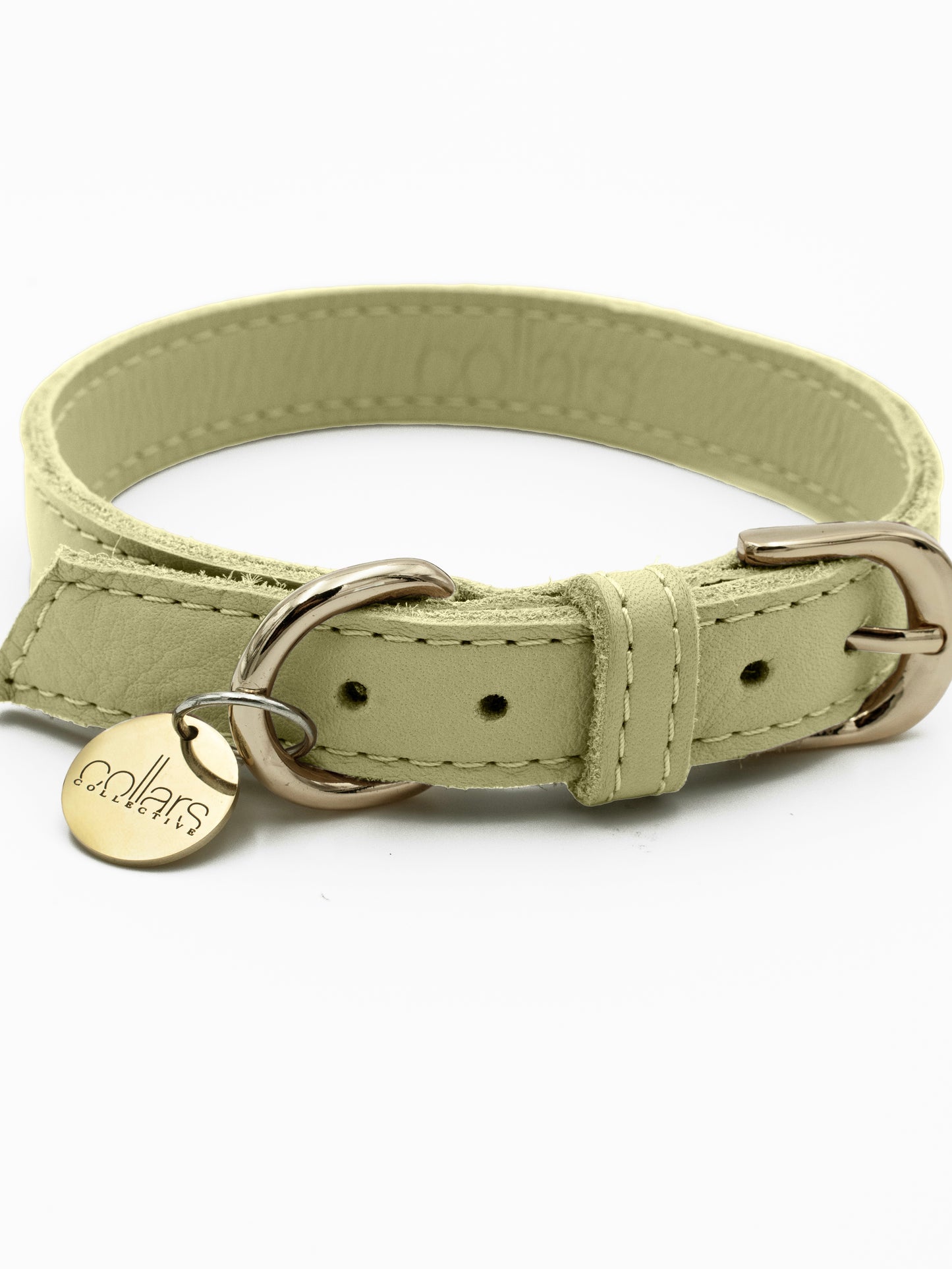 The Pistachio Tag Collar
