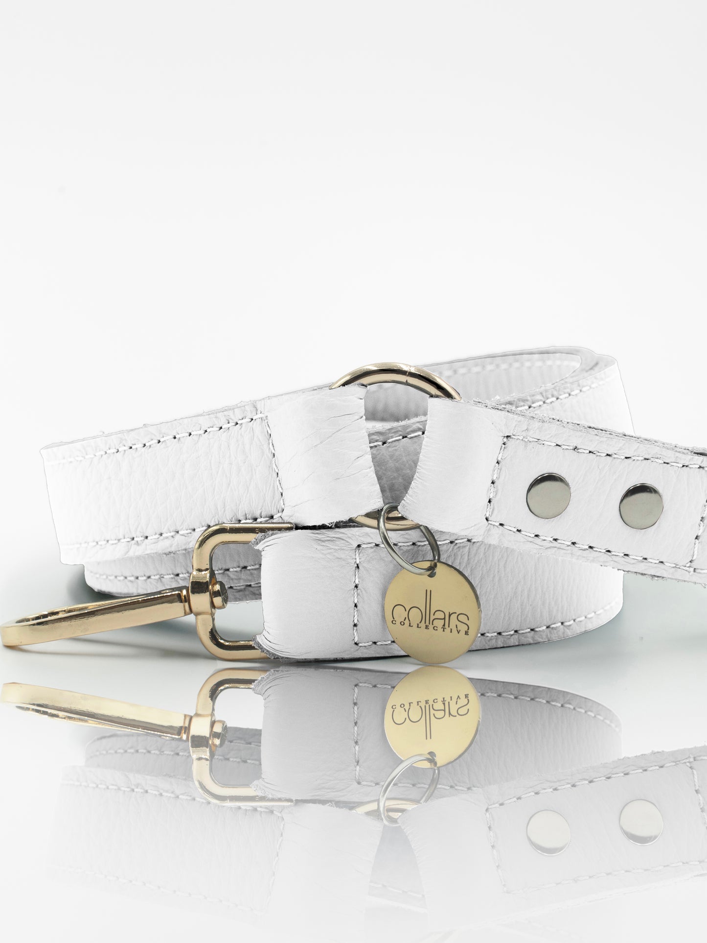 The Salt Classic Leash