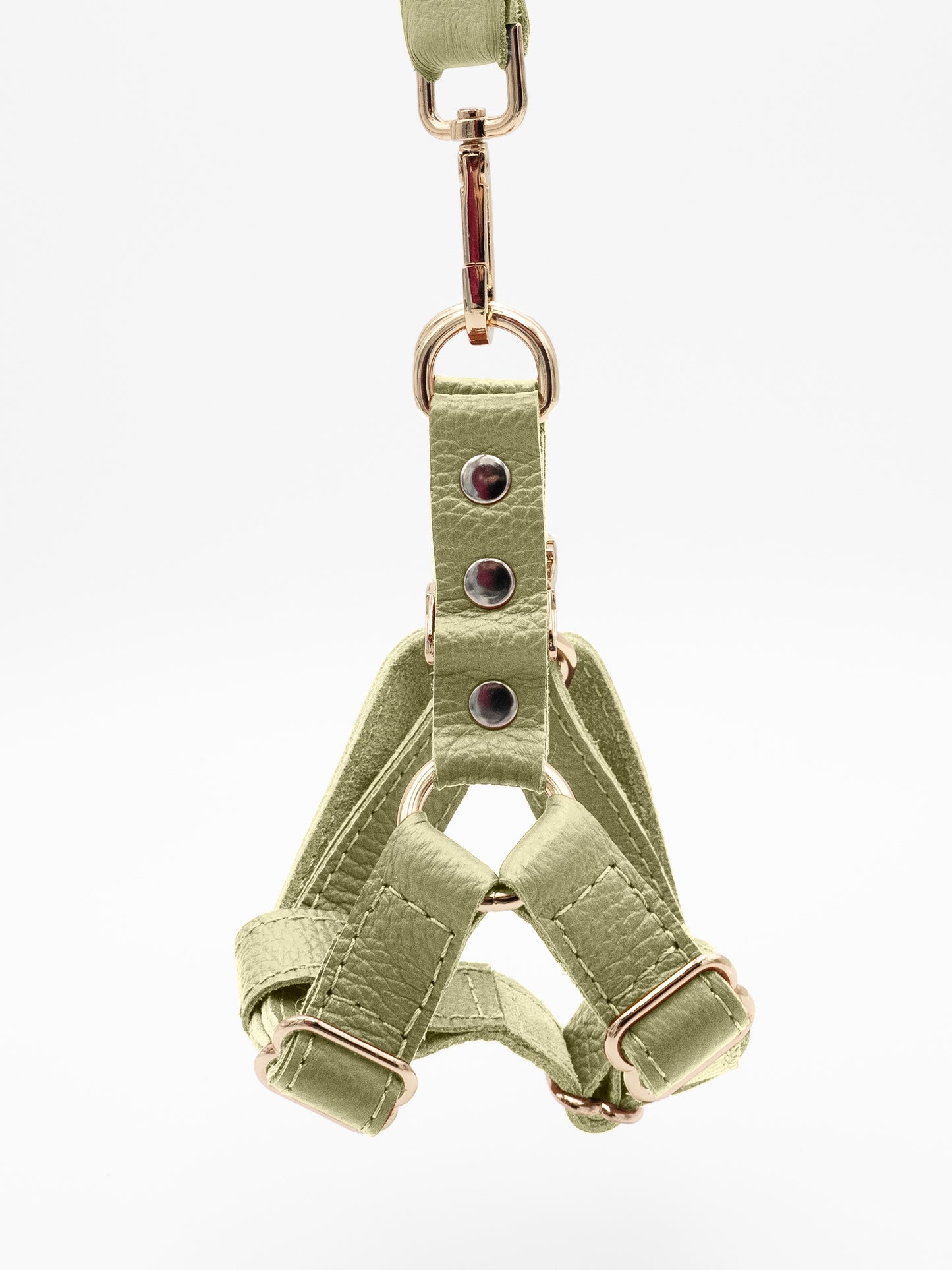 The Pistachio Harness