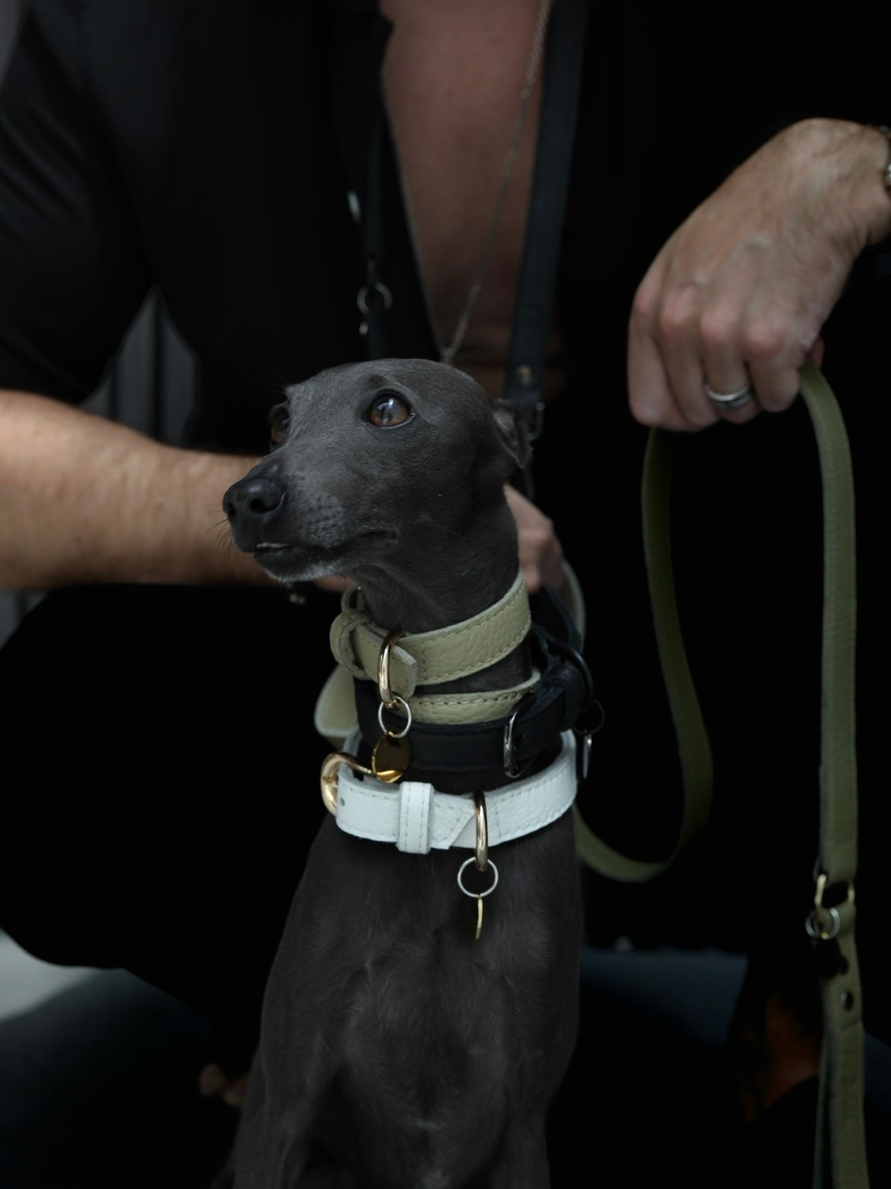 The Pistachio Tag Collar