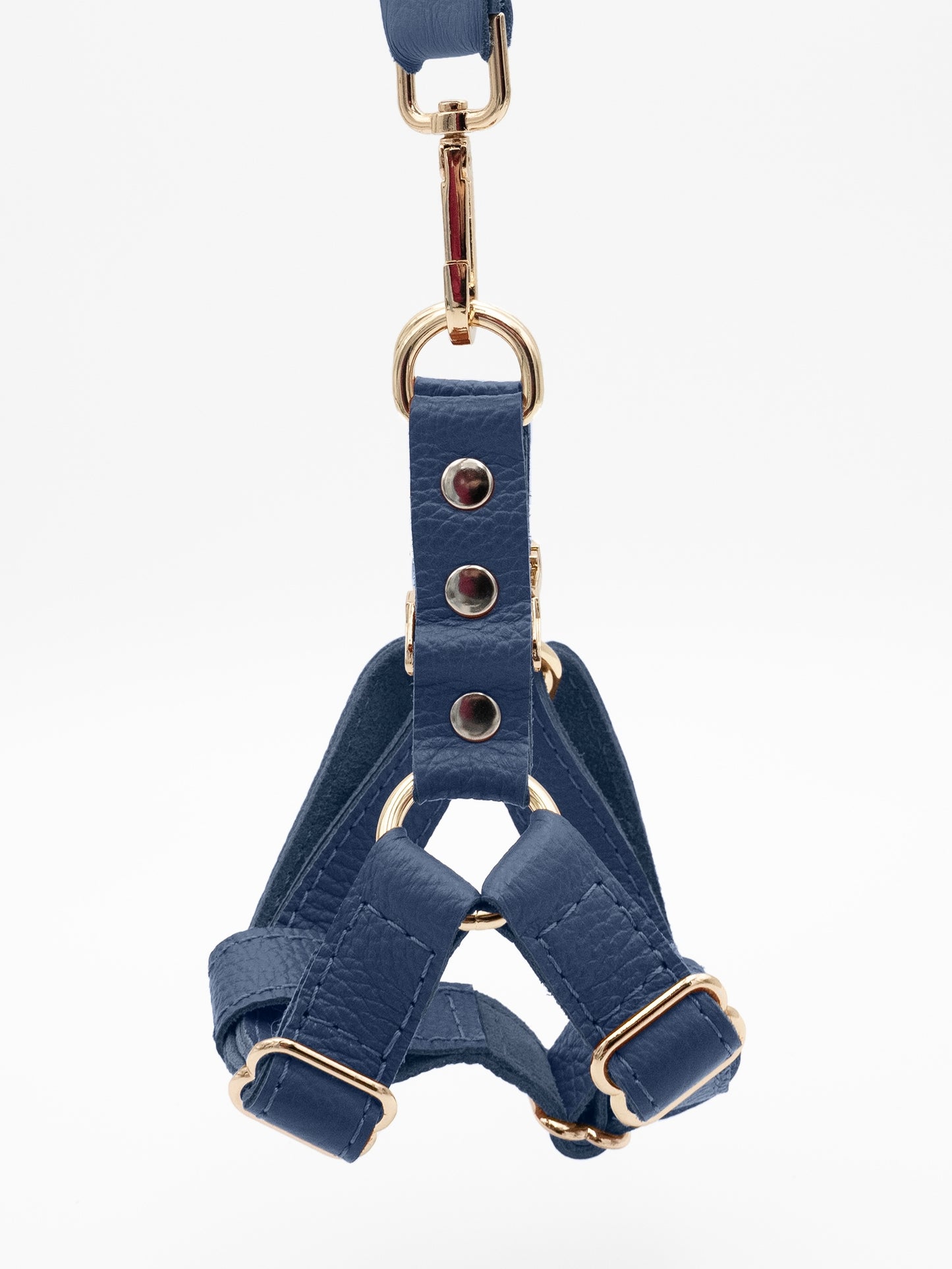 The Denim Harness