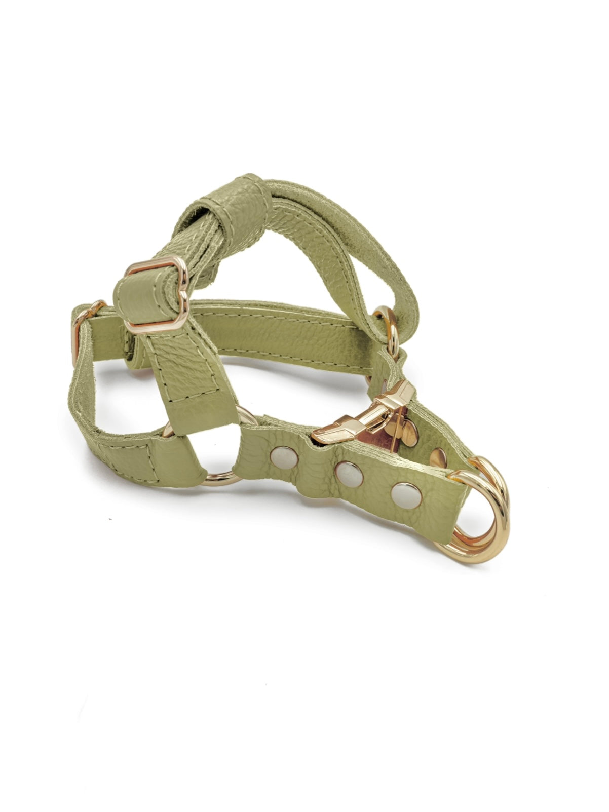 The Pistachio Harness