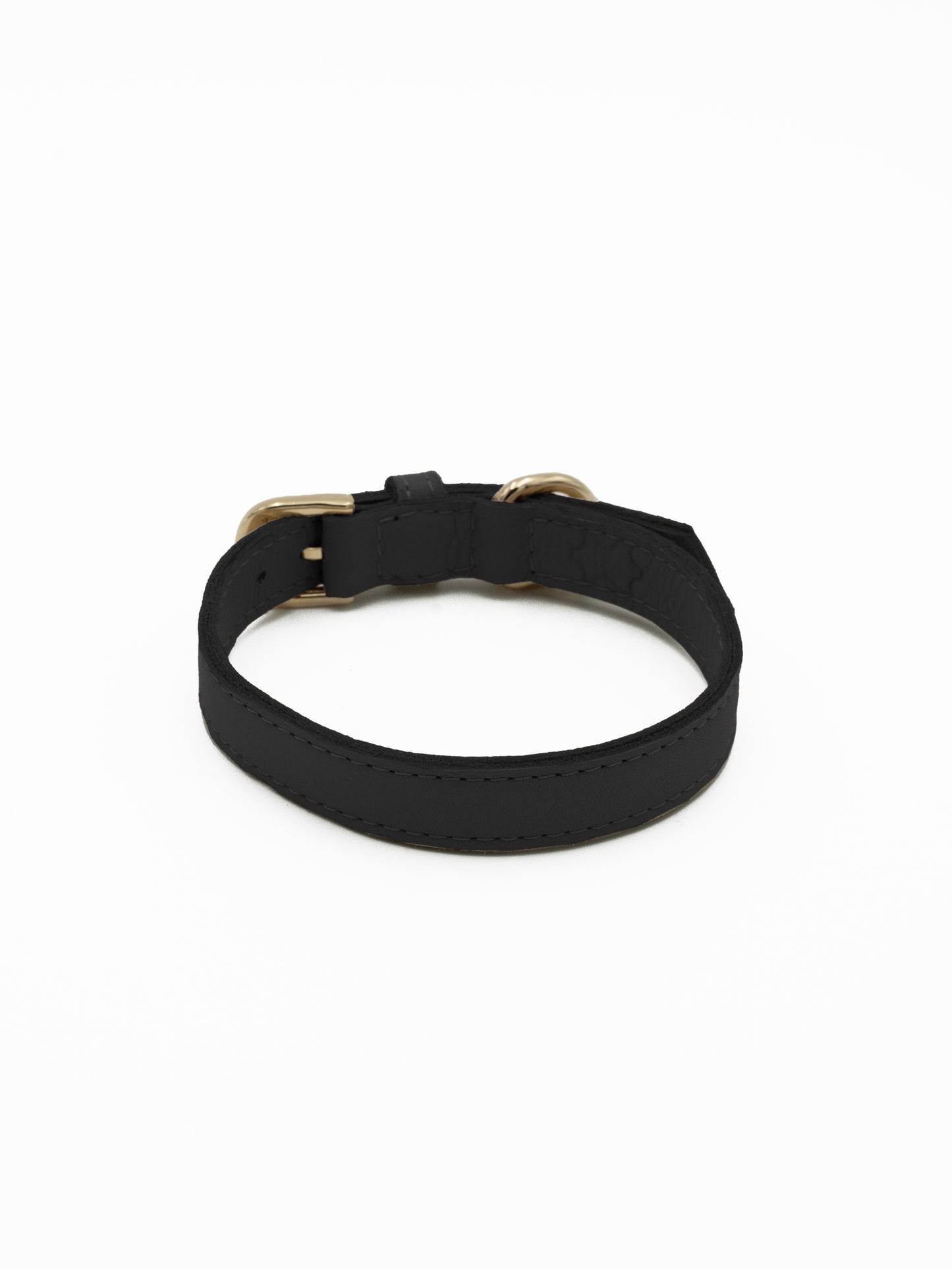 The Midnight Tag Collar