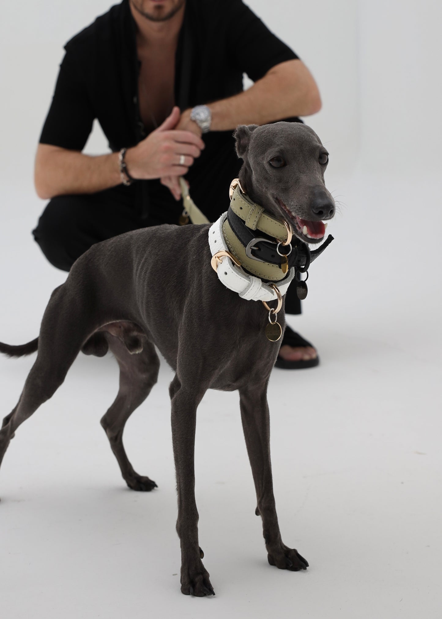 The Midnight Tag Collar