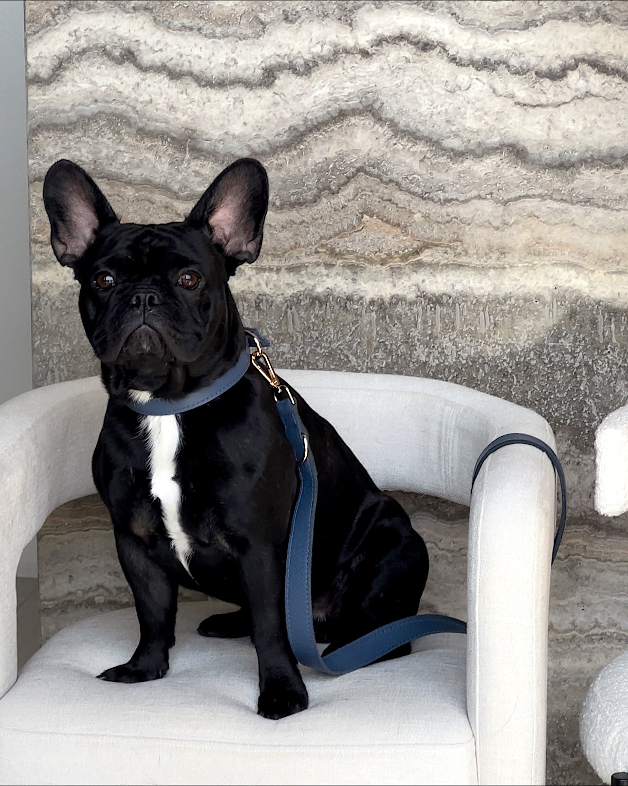 The Denim Tag Collar