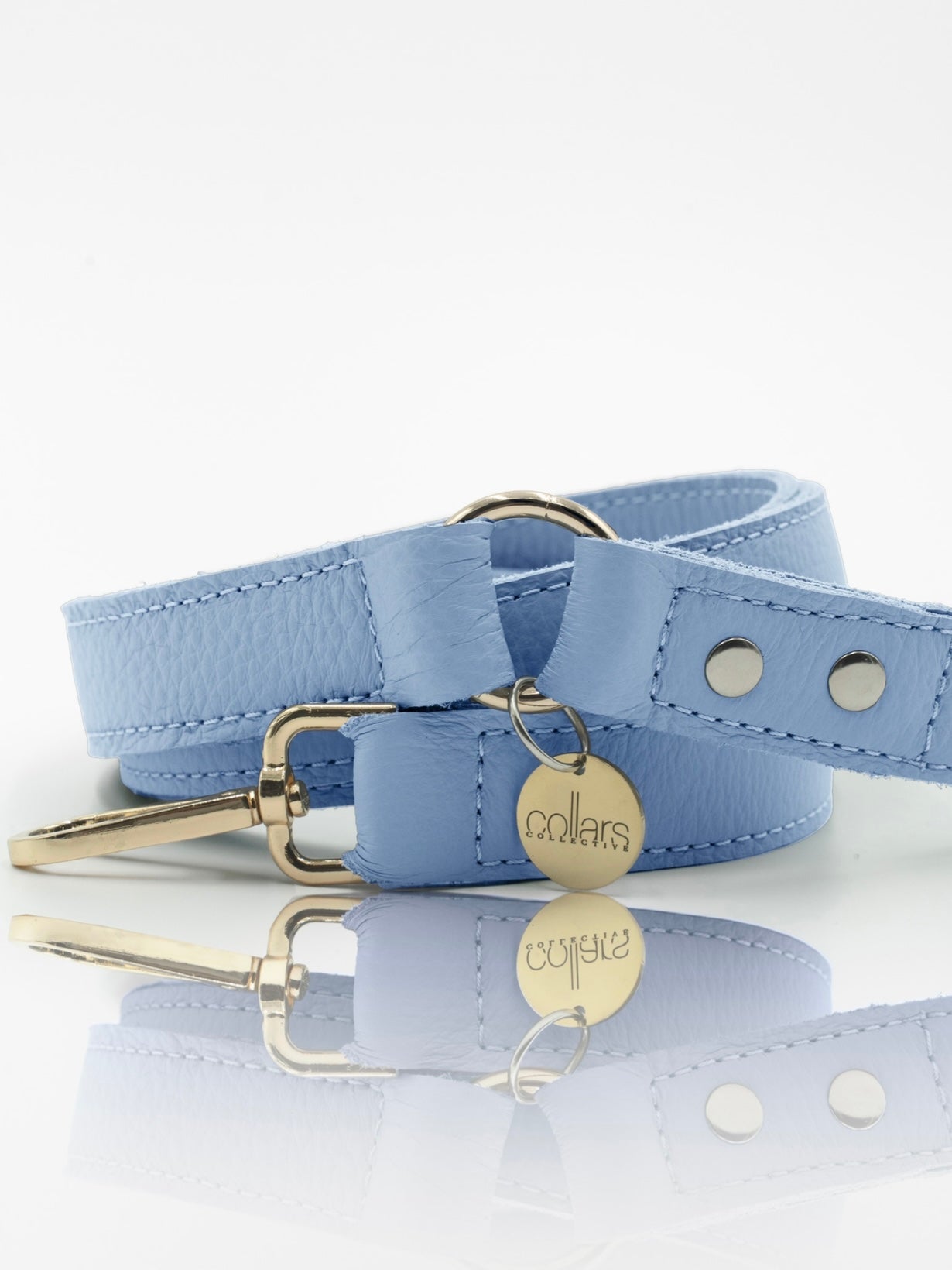 The Sky Classic Leash
