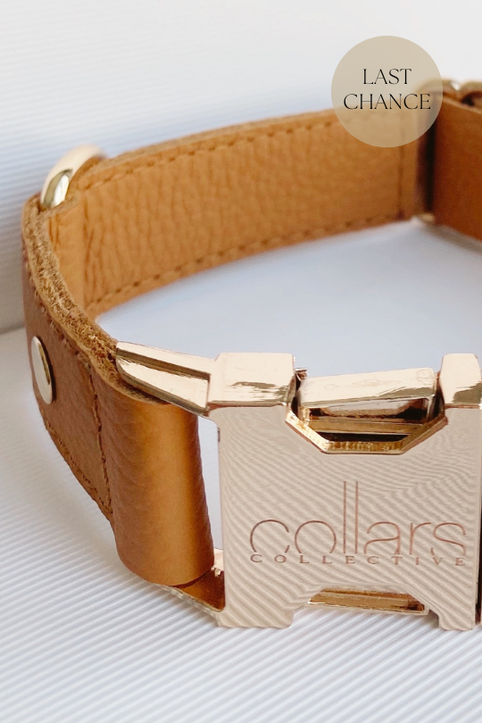 Collar - Spice