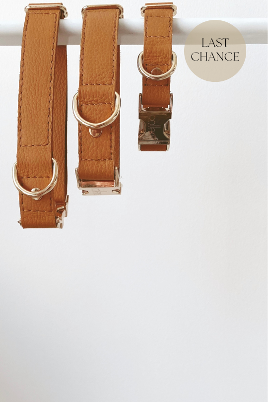 Collar - Spice
