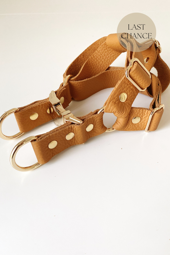 Harness - Spice