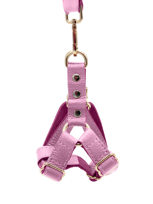 The Candy Harness