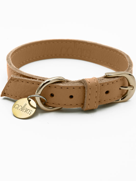 The Latte Tag Collar