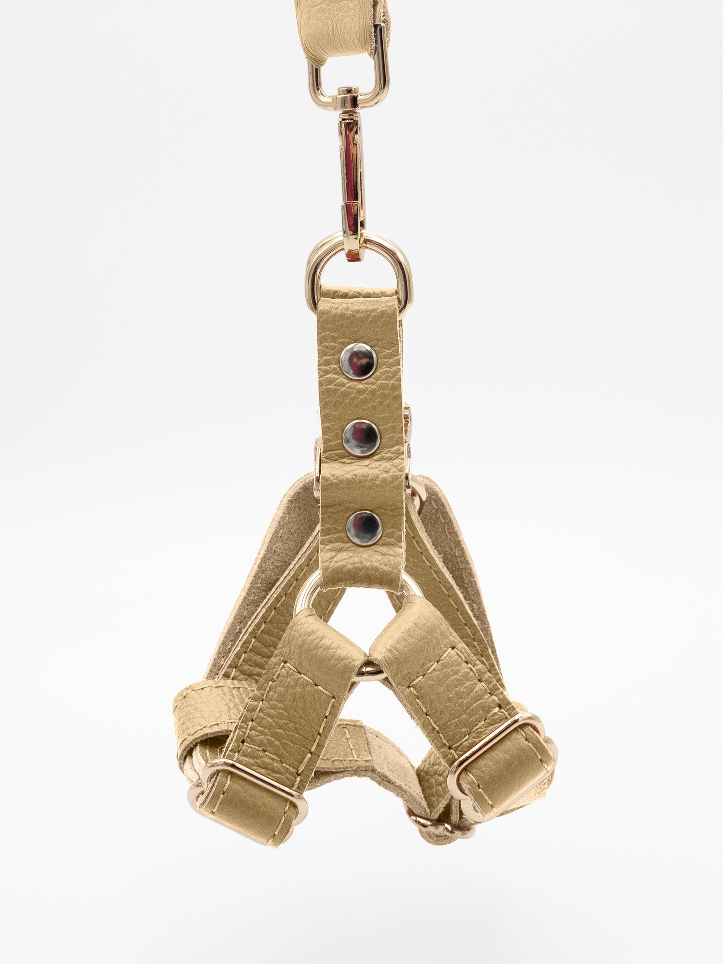 The Sand Harness