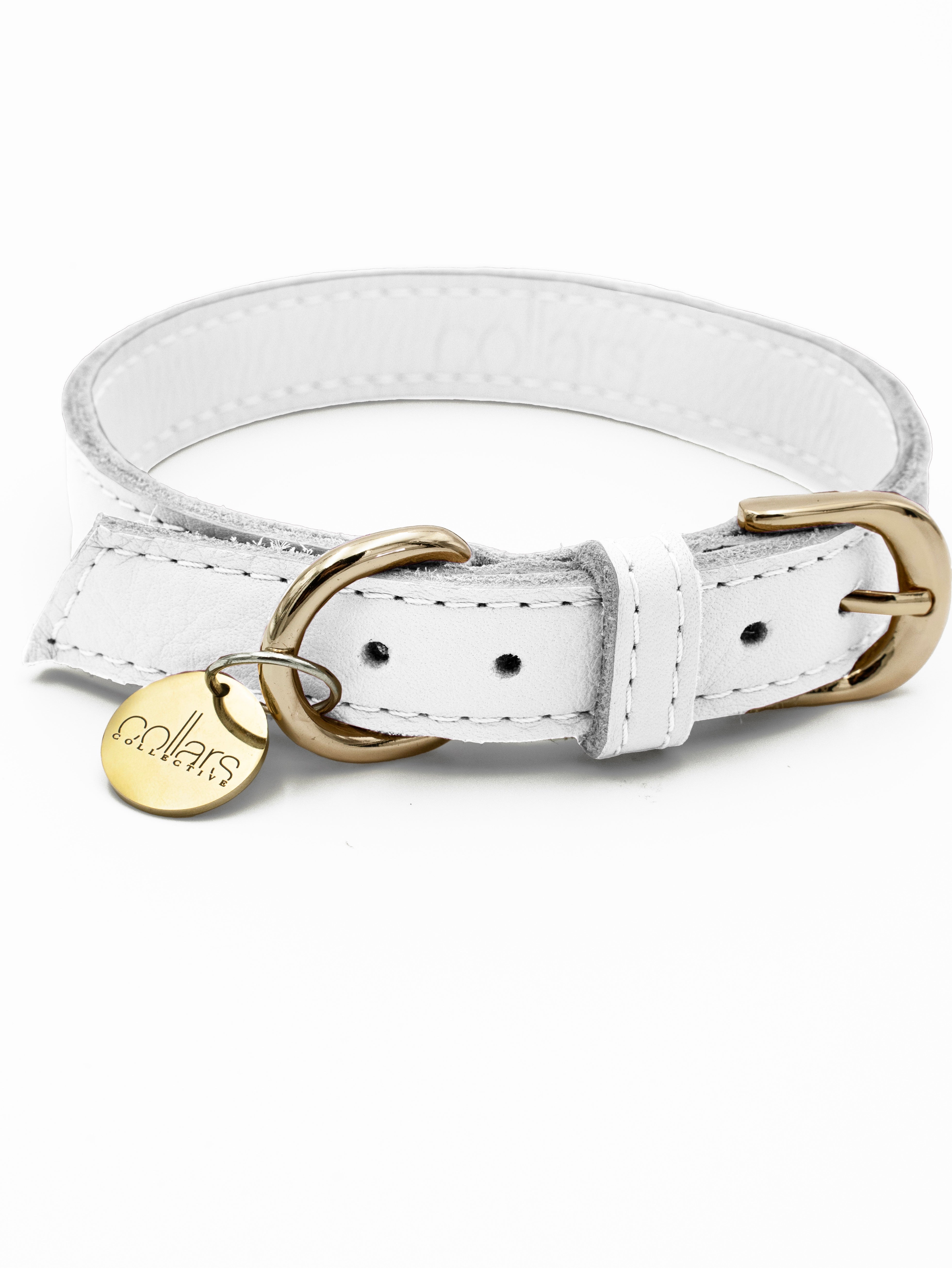 Salt clearance dog collars