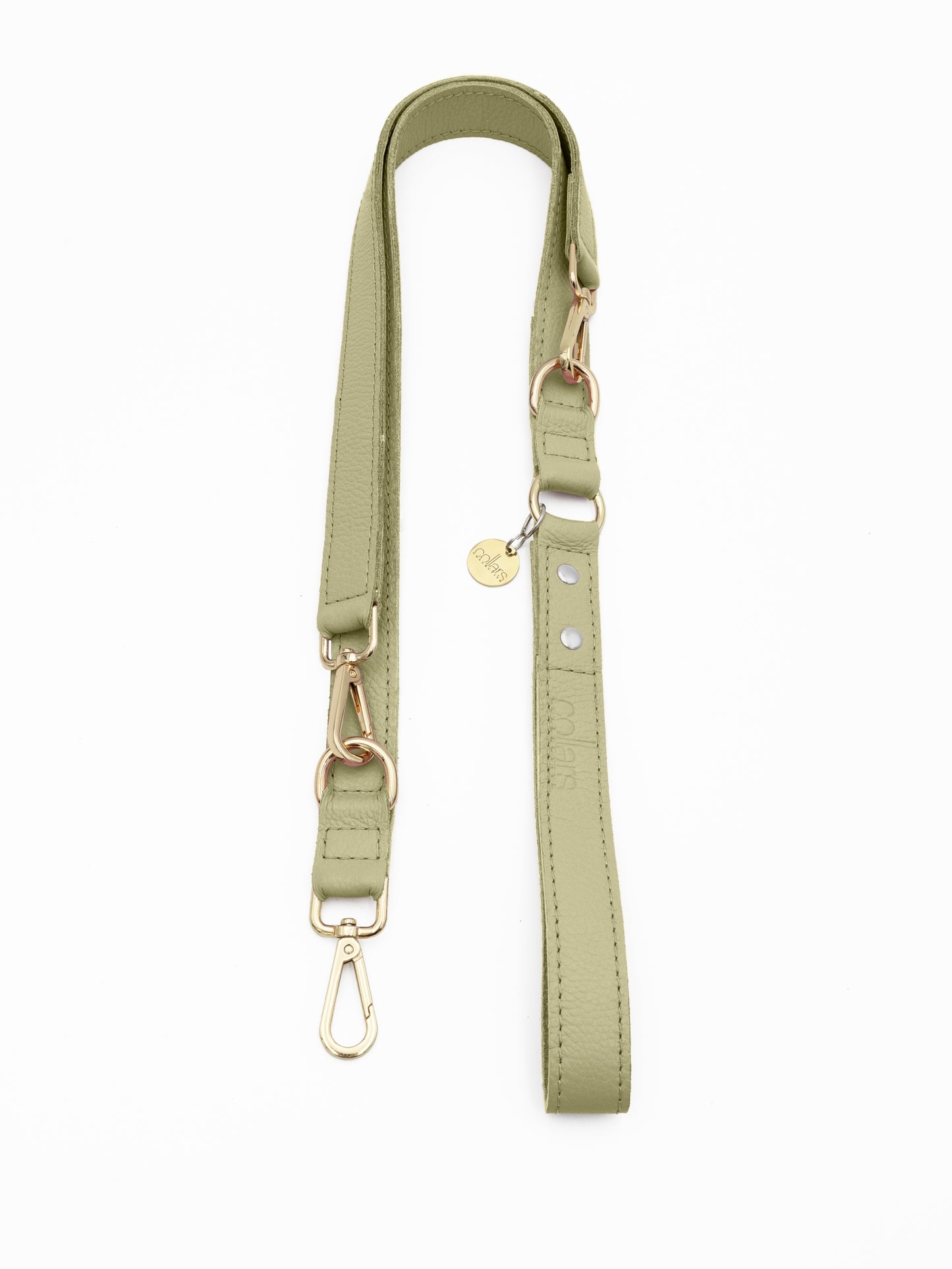 The Pistachio Iconic Leash