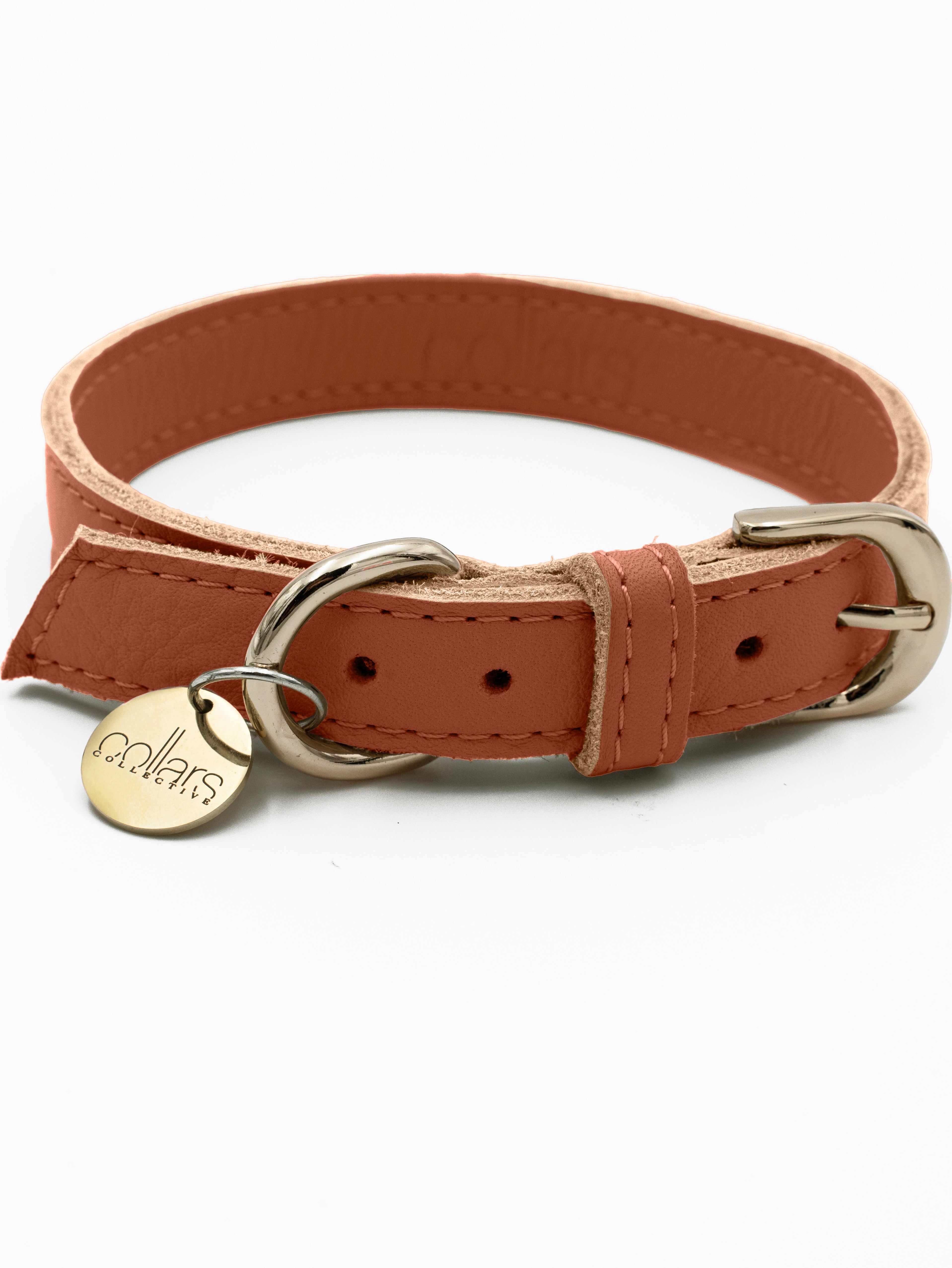Chilli Colla The Chilli Tag Collar – Collars Collective