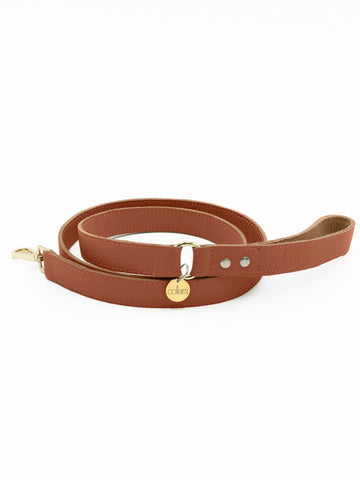 Chilli Colla Chilli – Collars Collective