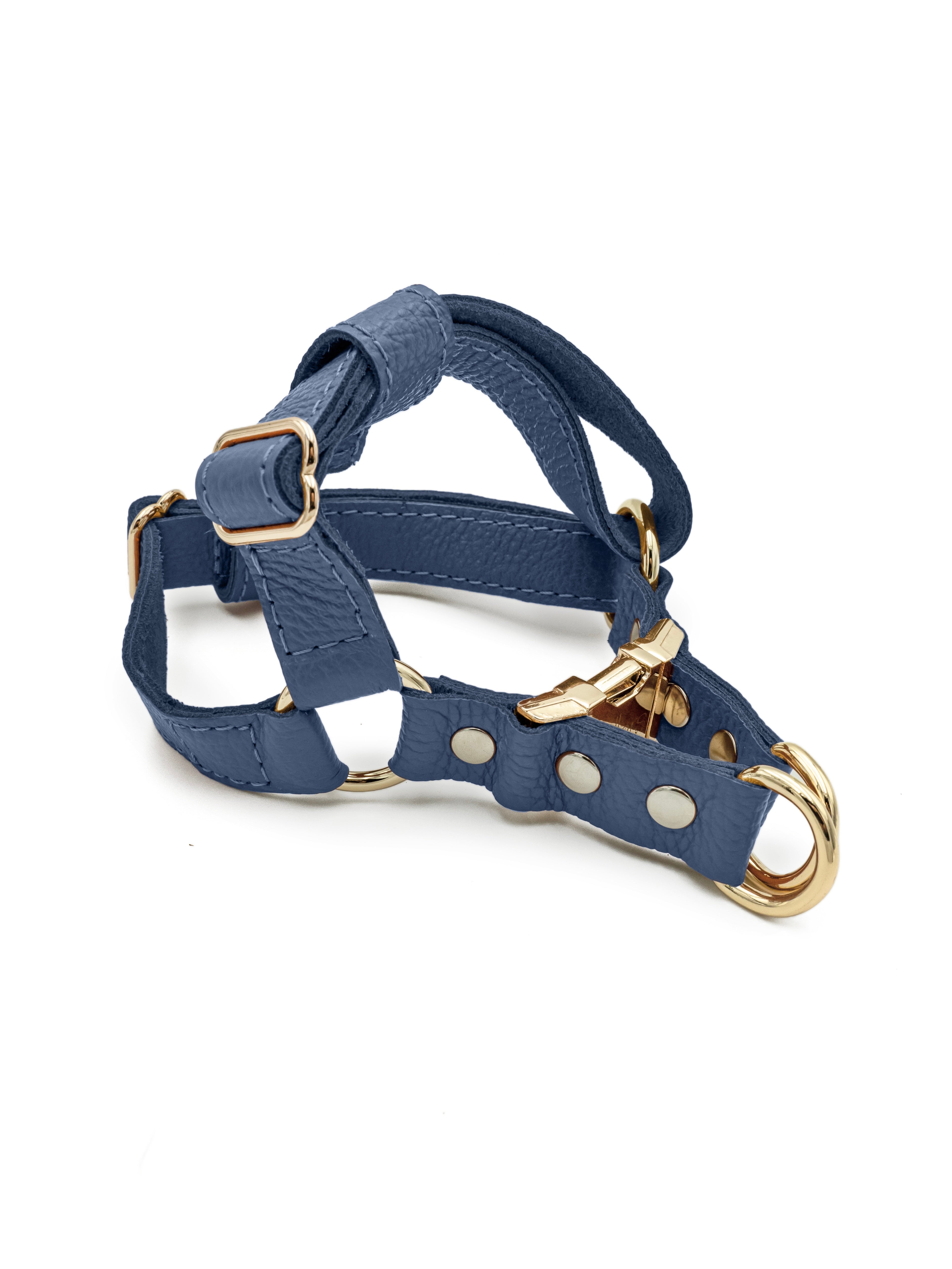 Leather collar best sale and leash