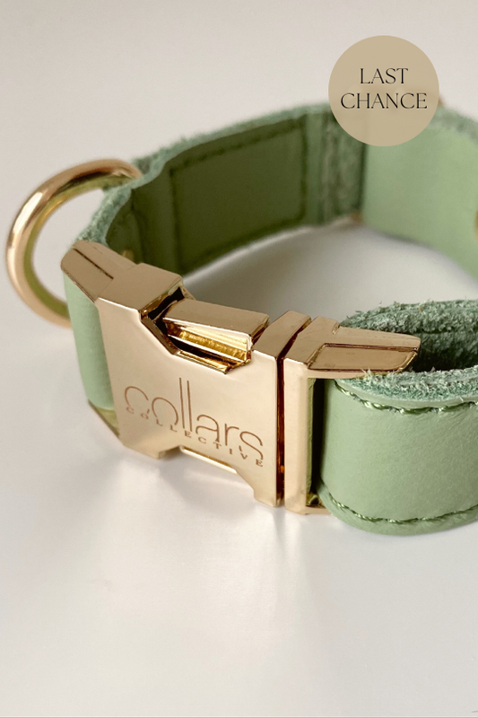 Collar - Matcha