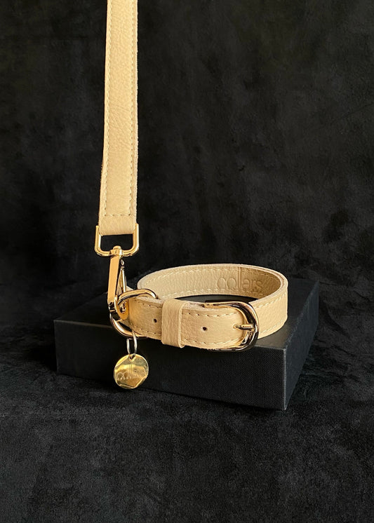 The Essentials Set